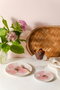 Hermia Lenta Toi 4 TT 15 Set de 4 Platos de Postre Multicolor de Porcelana